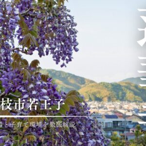 【蓮華寺池公園の住みやすさ】藤枝市・若王子エリアの土地相場と子育て環境を徹底解説