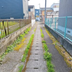 【静岡市葵区千代】105坪超の売土地・建築条件なし!平屋や二世帯住宅に最適 画像9 【静岡市葵区千代】105坪超の売土地・建築条件なし!平屋や二世帯住宅に最適 画像9