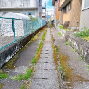 【静岡市葵区千代】105坪超の売土地・建築条件なし!平屋や二世帯住宅に最適 画像8 【静岡市葵区千代】105坪超の売土地・建築条件なし!平屋や二世帯住宅に最適 画像8