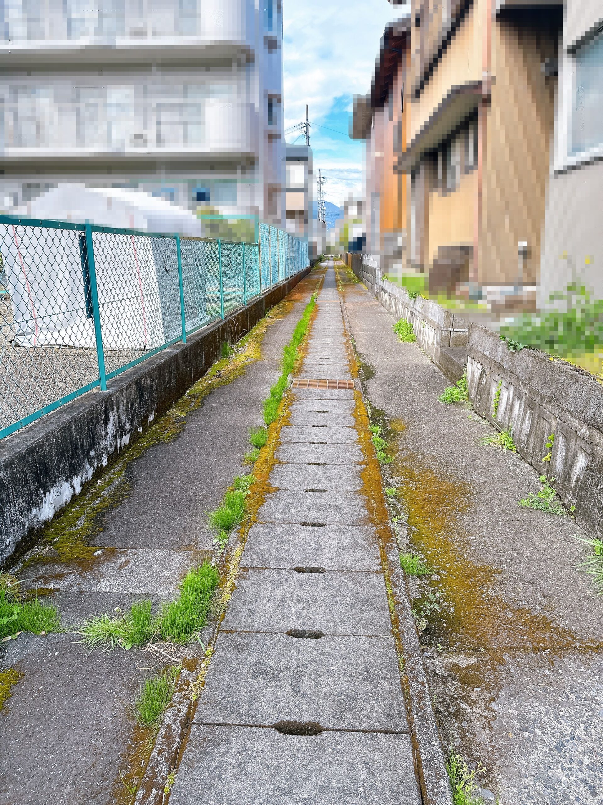【静岡市葵区千代】105坪超の売土地・建築条件なし！平屋や二世帯住宅に最適 画像8